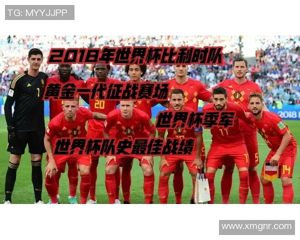 比利时队胜利进军欧洲杯四强 比利时队胜利进军欧洲杯四强